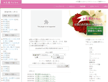 Tablet Screenshot of ohananano.com